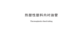 GB／T 44317-2024 热塑性塑料内衬油管