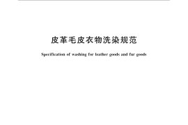 GB／T 22929-2008 皮革毛皮衣物洗染规范