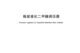 CJT470-2015 瓶装液化二甲醚调压器