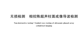 GB／T 43480-2023 无损检测 相控阵超声柱面成像导波检测