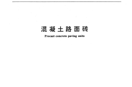 JCT446-2000 混凝土路面砖