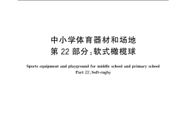 GB／T 19851.22-2007 中小学体育器材和场地 第22部分：软式橄榄球