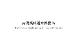 JCT 2838-2024 赤泥烧结透水路面砖(1)