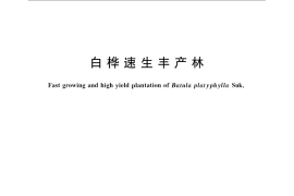 GB／T 23230-2009 白桦速生丰产林