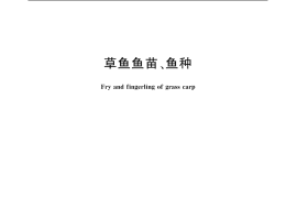 GB／T 11776-2006 草鱼鱼苗、鱼种