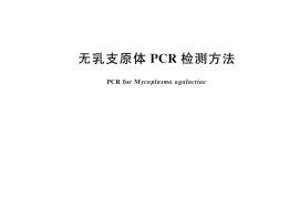 GB／T 34728-2017 无乳支原体PCR检测方法