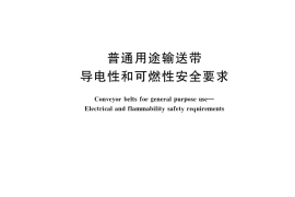 GB／T 39795-2021 普通用途输送带 导电性和可燃性安全要求
