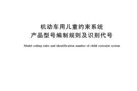 GB／T 36124-2018 机动车用儿童约束系统产品型号编制规则及识别代号