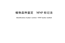 GB／T 38551-2020 植物品种鉴定 MNP标记法