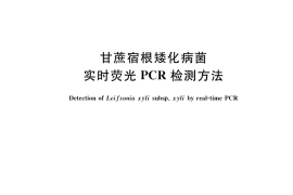 GB／T 36829-2018 甘蔗宿根矮化病菌实时荧光PCR检测方法
