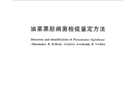 GB／T 31798-2015 油菜黑胫病菌检疫鉴定方法