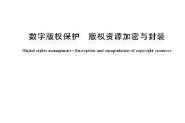 GB／T 40953-2021 数字版权保护 版权资源加密与封装