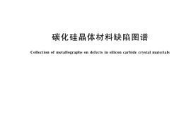 GB／T 43612-2023 碳化硅晶体材料缺陷图谱