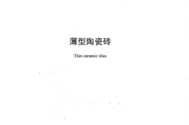 JCT2195-2013 薄型陶瓷砖