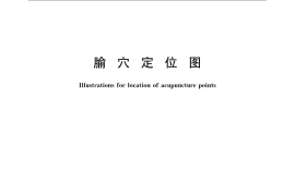 GB／T 22163-2008 腧穴定位图