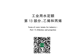GB／T 18916.13-2024 工业用水定额 第13部分：乙烯和丙烯