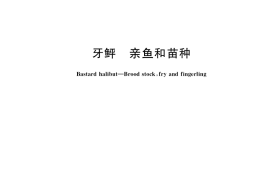 GB／T 35903-2018 牙鲆 亲鱼和苗种