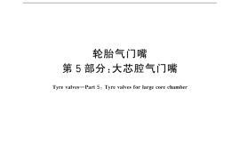 GB／T 1796.5-2016 轮胎气门嘴 第5部分：大芯腔气门嘴