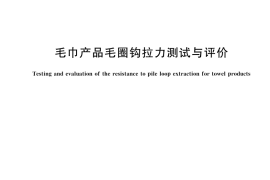 GB／T 31128-2025 毛巾产品毛圈钩拉力测试与评价