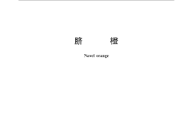 GB／T 21488-2008 脐橙