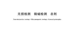 GB／T 41119-2021 无损检测 微磁检测 总则