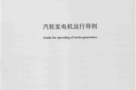 DLT1164-2012 汽轮发电机运行导则