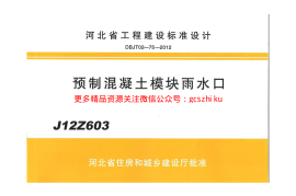 J12Z603 预制混凝土模块雨水口
