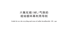 GB／T 44653-2024 六氟化硫（SF6）气体的现场循环再利用导则