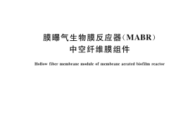 GB／T 42281-2022 膜曝气生物膜反应器（MABR）中空纤维膜组件