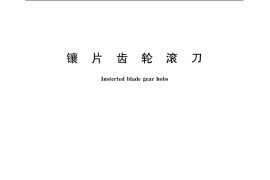 GB／T 9205-2005 镶片齿轮滚刀