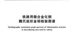TBT3239-2010 铁路用微合金化钢魏氏组织金相检验图谱