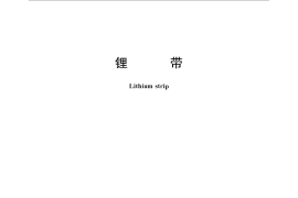 GB／T 20930-2015 锂带