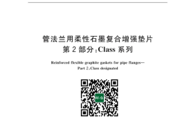 GB／T 19675.2-2023 管法兰用柔性石墨复合增强垫片第2部分：Class系列