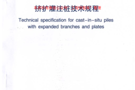 DB29-65-2004 天津市挤扩灌注桩技术规程