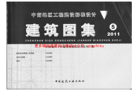 11ZJ951 漏花