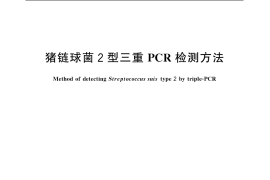 GB／T 19915.4-2005 猪链球菌2型三重PCR检测方法