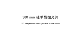 GB／T 29506-2013 300mm 硅单晶抛光片