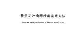 GB／T 36771-2018 番茄花叶病毒检疫鉴定方法