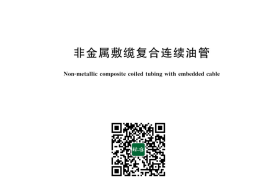 GB／T 43673-2024 非金属敷缆复合连续油管