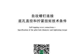 GB／T 43655-2024 自攻螺钉连接 底孔直径和拧紧扭矩技术条件(1)