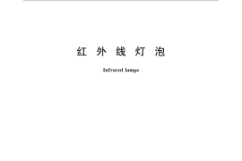 GB／T 23140-2009 红外线灯泡