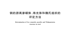 GB／T 13299-2022 钢的游离渗碳体、珠光体和魏氏组织的评定方法