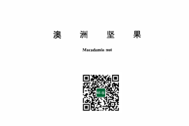 GB／T 43643-2024 澳洲坚果