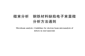 GB／T 21638-2025 微束分析 钢铁材料缺陷电子束显微分析方法通则
