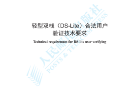 YDT 4789-2024 轻型双栈_DS-Lite_合法用户验证技术要求_高清正式版