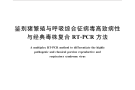 GB／T 27517-2011 鉴别猪繁殖与呼吸综合征病毒高致病性与经典毒株复合RT-PCR方法
