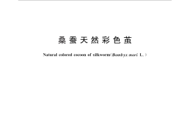 GB／T 29571-2013 桑蚕天然彩色茧