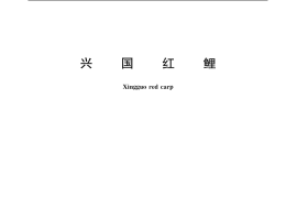 GB／T 16875-2006 兴国红鲤