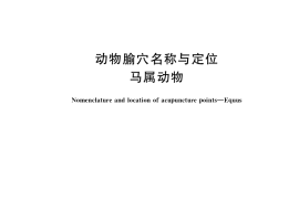 GB／T 41626-2022 动物腧穴名称与定位 马属动物