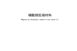 JCT 2857-2024 磷酸镁胶凝材料